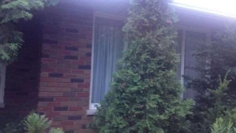 august 2014 - 407-Extension-Concession-63.jpg