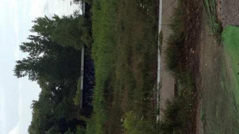 water park - Wet-And-Wild-Waterpark233.jpg