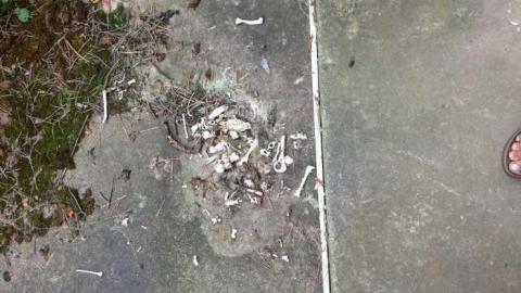 water park - Wet-And-Wild-Waterpark95.jpg