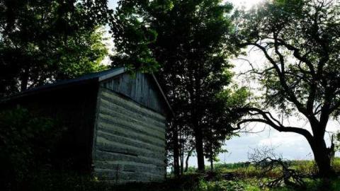 Aug2014 - DSCF8578.jpg