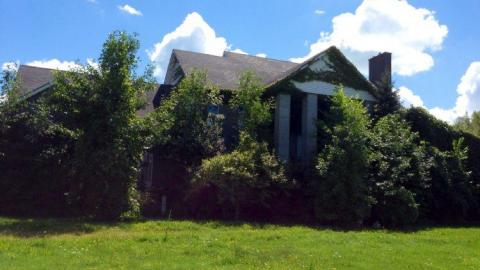 Pammett House - Pammett-Drug-House17.jpg