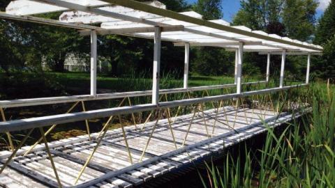 Pammett House - Pammett-Drug-House18.jpg