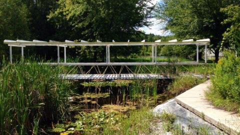 Pammett House - Pammett-Drug-House21.jpg