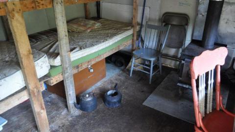 Harry Hilton - Harry-Island-Hilton7.jpg