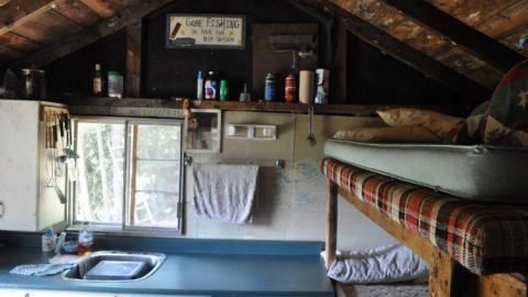 Harry Hilton - Harry-Island-Hilton8.jpg