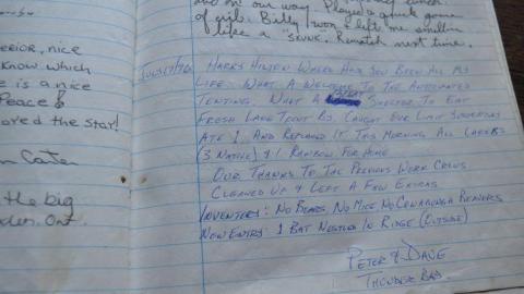 Harry Hilton - Harry-Island-Hilton13.jpg