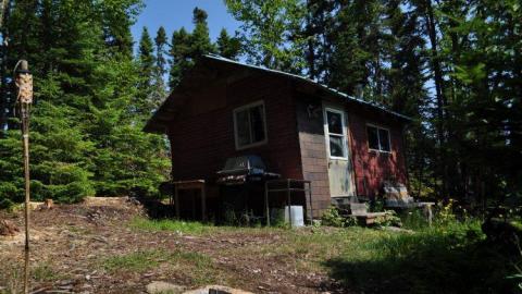 Harry Hilton - Harry-Island-Hilton18.jpg