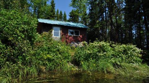 Harry Hilton - Harry-Island-Hilton19.jpg