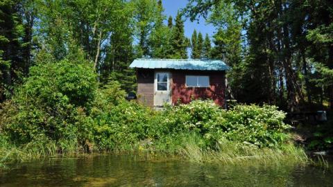 Harry Hilton - Harry-Island-Hilton20.jpg