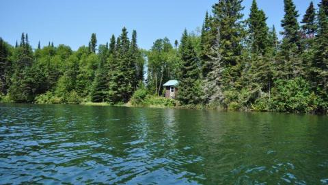 Harry Hilton - Harry-Island-Hilton21.jpg