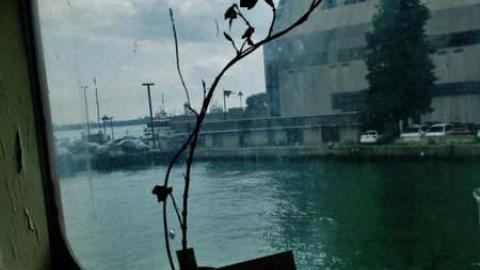 Aug2014 - Captain-Johns-Restaurant123.jpg