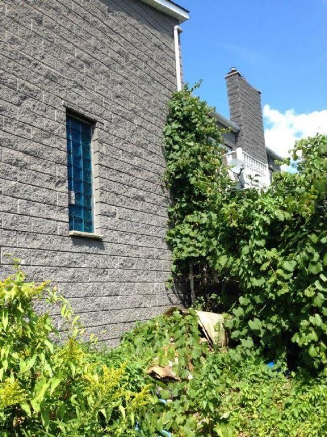 Pammett Drug House photo 5