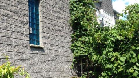 Pammett Drug House photo 5