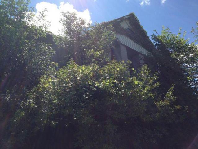 Pammett Drug House photo 4