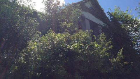 Pammett Drug House photo 4