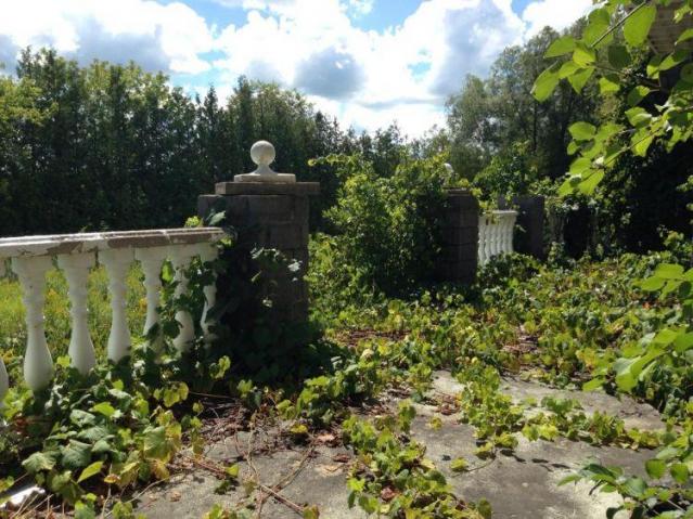 Pammett Drug House photo 3