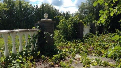 Pammett Drug House photo 3