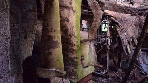 First Stop on the Meet - School-Section-No.-5-Euphemia119.jpg