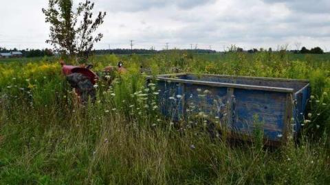 Watch the Floors - DSC_0111.jpg