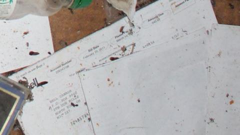 River Brick - River-Runs42.jpg