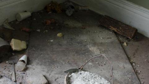 River Brick - River-Runs24.jpg