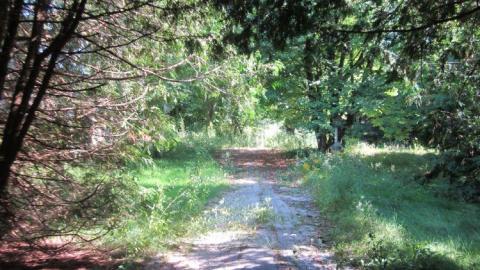 Party Palace - Pioneer-Mansion58.jpg