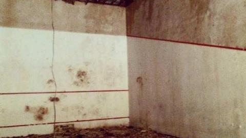 Photo from Trashed (Aug. 2014)