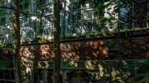 August 2014 Meet - School-Section-No.-5-Euphemia61.jpg