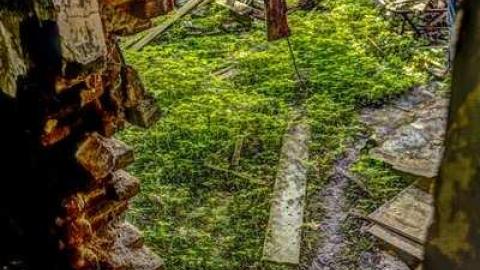 August 2014 Meet - School-Section-No.-5-Euphemia65.jpg