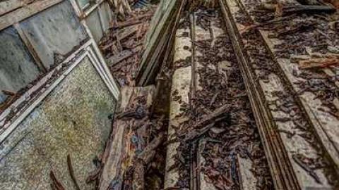 August 2014 Meet - School-Section-No.-5-Euphemia76.jpg