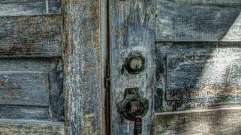 August 2014 Meet - School-Section-No.-5-Euphemia69.jpg