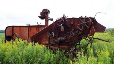 Stumbling Through - DSC09195.jpg