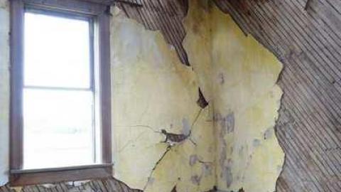 Stumbling Through - DSC09210.jpg