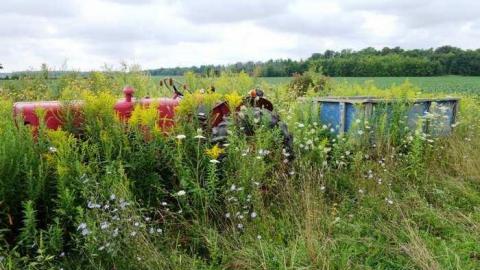 Stumbling Through - DSC09232.jpg