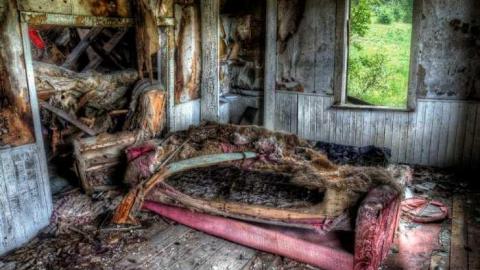 Photo from Summer Visit