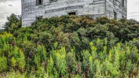 August 2014 Meet - 20140823_6940_9670_.jpg