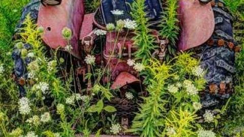 August 2014 Meet - 20140823_6940_9672_.jpg