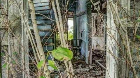 August 2014 Meet - 20140823_6940_9684_.jpg