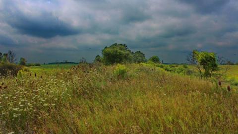 Longwoods Rail Bridge photo 5
