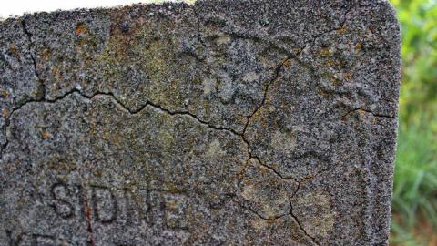 Sidney Kellestine - Kellestine-Pioneer-Cemetery2.jpg