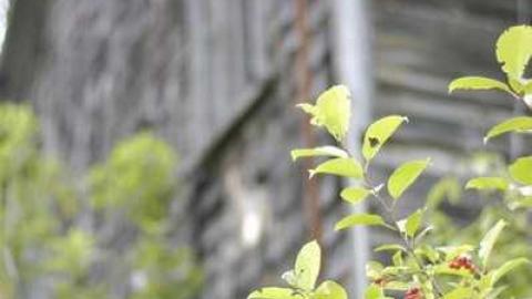 August 2013 - Iron-Bridge-House-16.jpg