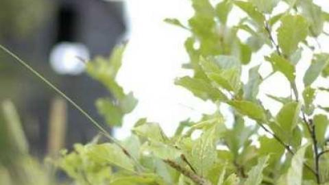 Photo from August 2013