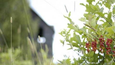 August 2013 - Iron-Bridge-House-12.jpg