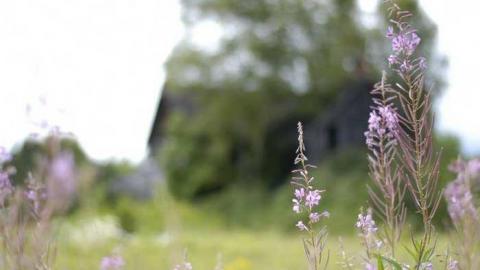 Photo from August 2013