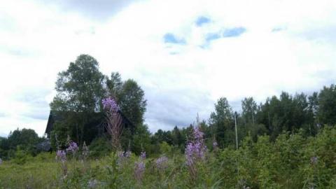 August 2013 - Iron-Bridge-House-19.jpg