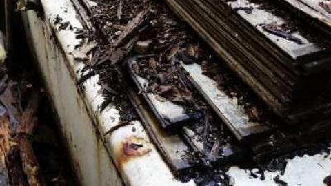 SS Wreck - School-Section-No.-5-Euphemia45.jpg