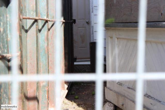 Fire and Nice - Waterloo, Ontario