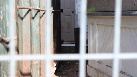 Photo from Bridgeport and Regina