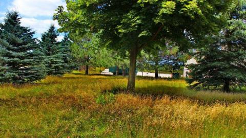 Hydrophobia - OAP LOC.KW ...st.jac falls 030licoRE.jpg