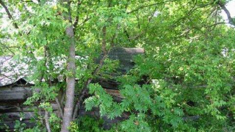 Balaclava - Balaclava-(ghost-town)142.jpg